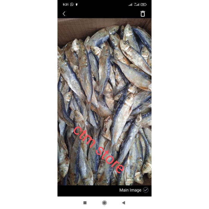 

ikan asin tanjan/tembang 500g