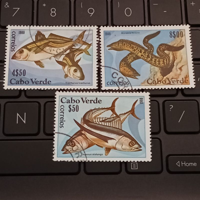 

Perangko Cape Verde 3 Keping Seri Ikan Used - Prangko Tanjung Verde