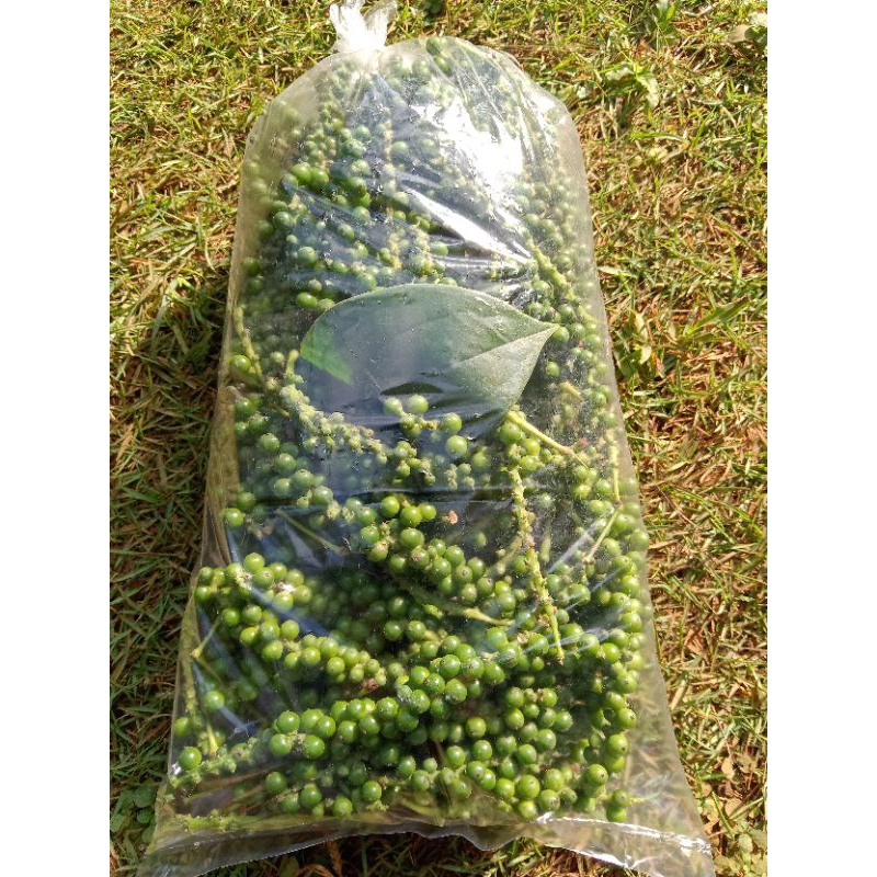 

Buah Merica Segar Lada hijau segar per 300gr