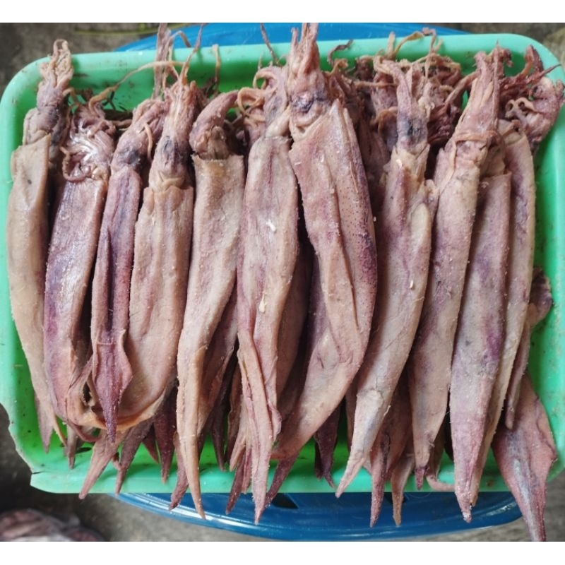 

Cumi Lontar Panjang 250gram
