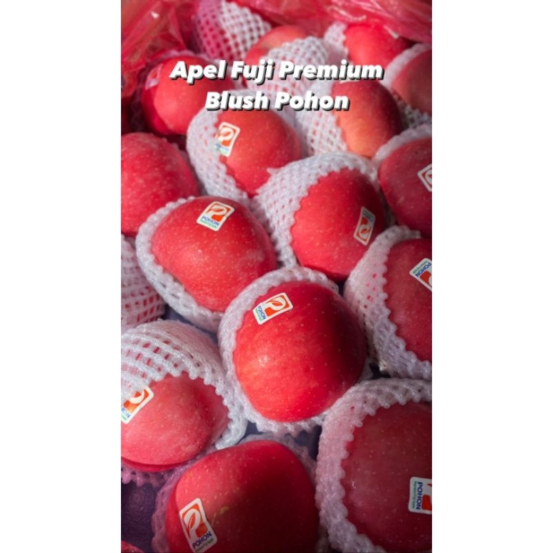 

Apel Fuji Premium Blush Pohon