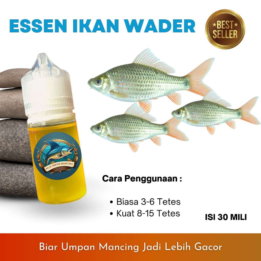 Essen Khusus Ikan Wader dan Nilem Sungai Liar Paling Ampuh | Raja Umpan Mancing