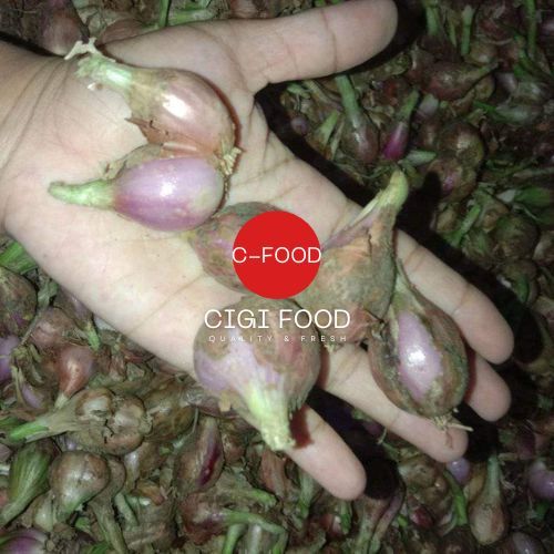 

Bawang sumenep 1kg mentah murah asli rata-rata pilihan padat fresh buat bawang goreng dan masakan