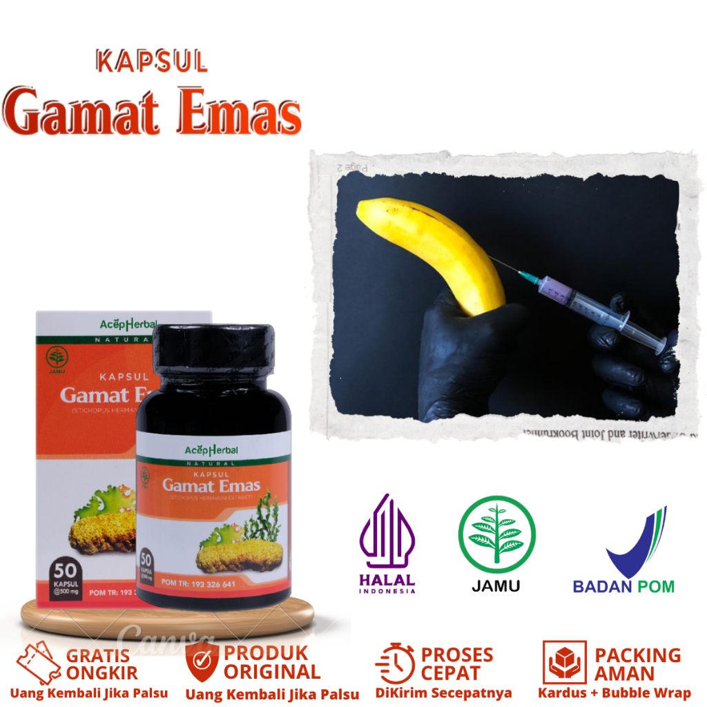 Gamat Emas Kapsul - Obat Penghilang Cairan Suntik Silikon - Minyak Kemiri Di Badan - 50 Kapsul
