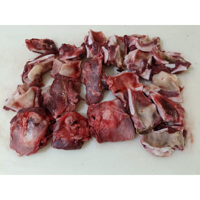 

TULANG MUDA SAPI
