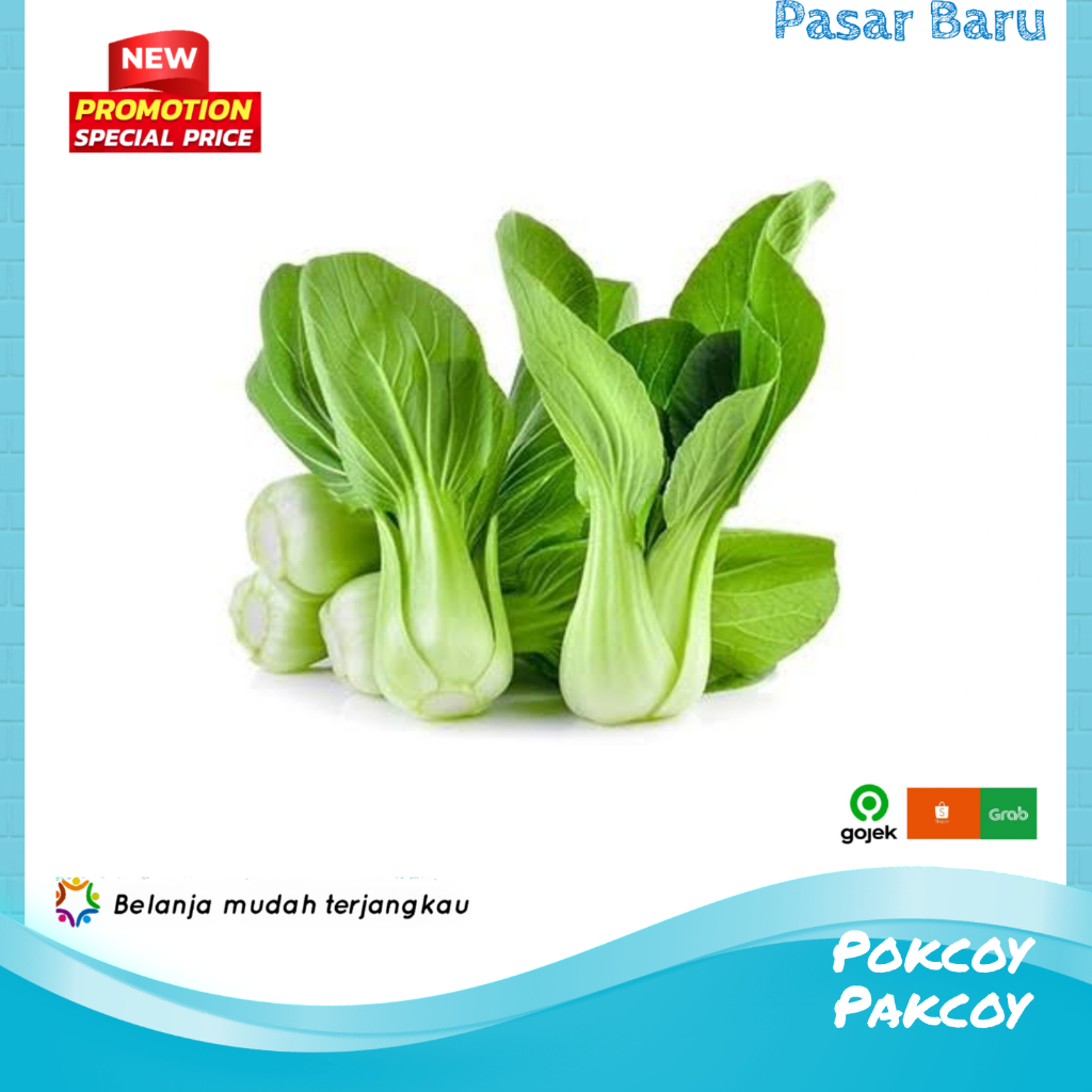 

Pokcoy / Sawi Sendok • 500gram ✓ Murah | Pasar Baru Makassar