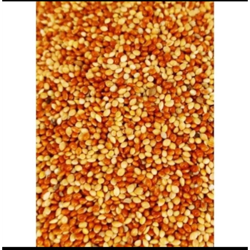 Milet Mix Milet Putih Dan Milet Merah Campur Pakan Burung Love bird Perkutut Puter Derkuku DLL