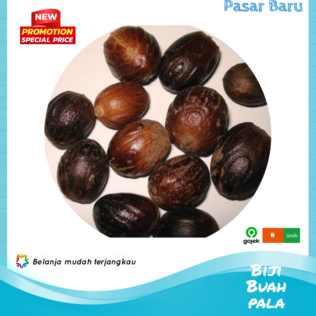 

Biji / Buah Pala • 1Bijinya ✓ Murah | Pasar Baru Makassar