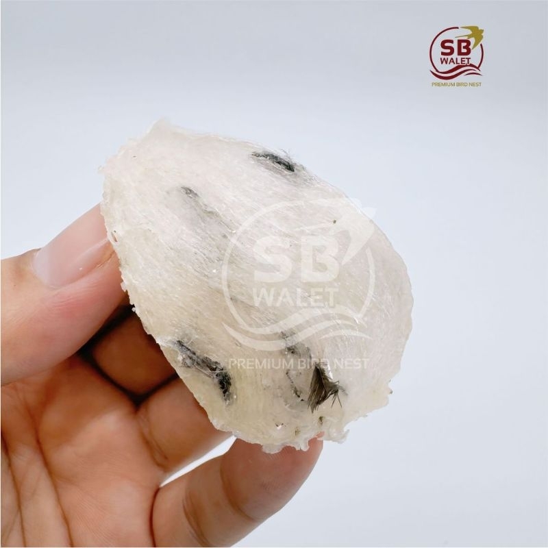

SARANG BURUNG WALET KOTOR / YENWO ASLI MANGKOK (Harga untuk 1sarang 5-8gram)