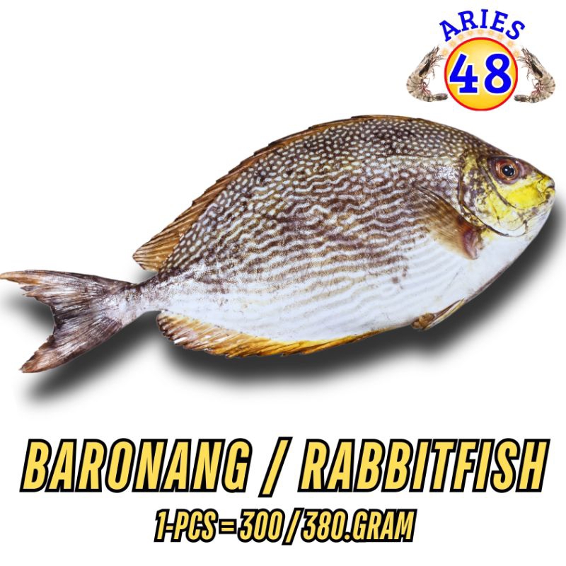 

Ikan Baronang Tulis (1/2-Kilo)