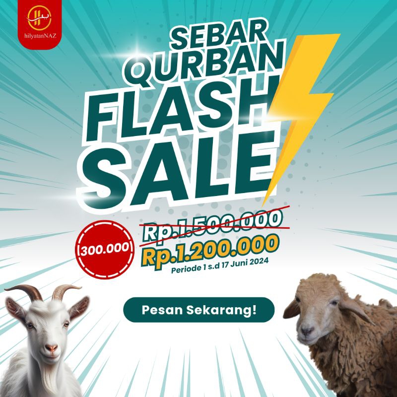 Domba kurban murah kambing qurban sosial