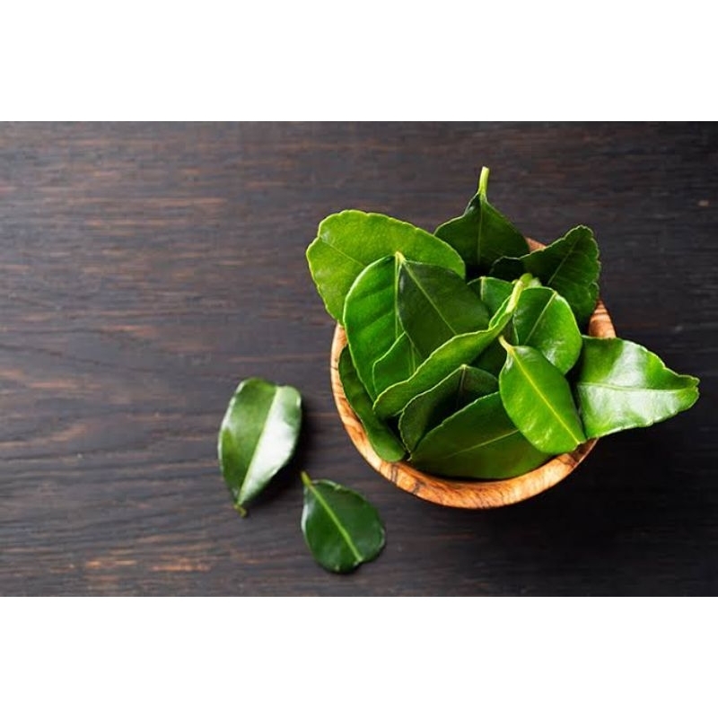 

DAUN JERUK SEGAR ASLI FRESH