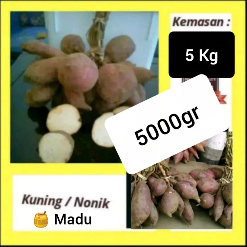 

Ubi Gunung kawi super - 5000gr / 5 Kg