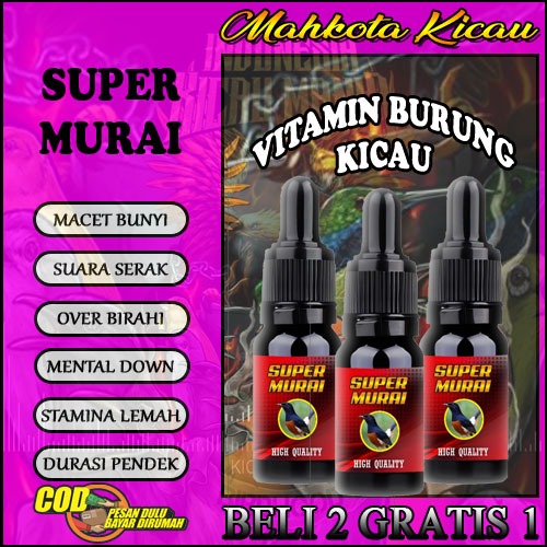 SUPER MURAI BIKIN GACOR BIRAHI FIGHTER NEMBAK BUKA ISIAN