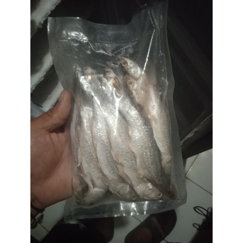 

ikan belanak