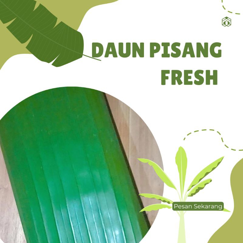

Daun Pisang Segar siap pakai // Banana Leaf Fresh // Daun Pisang Kepok