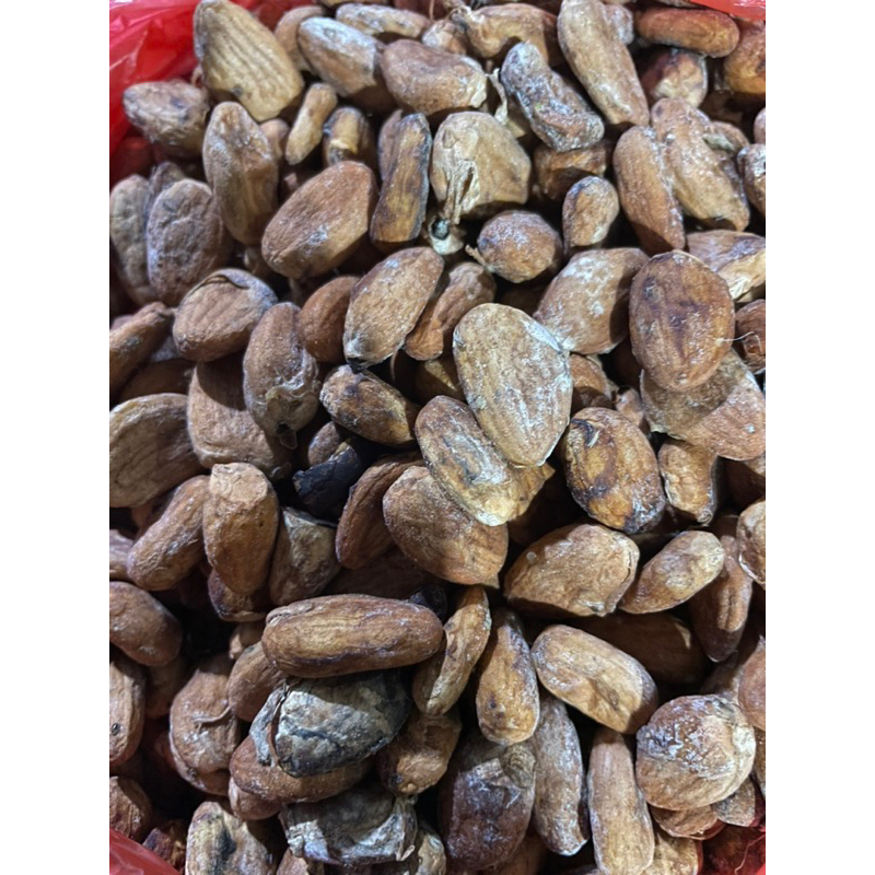

biji kakao/coklat