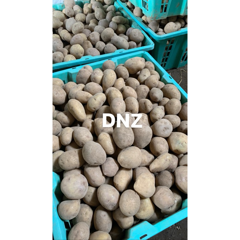 

KENTANG GRANOLA DIENG SIZE DN TERMURAH HARGA PER 500gram