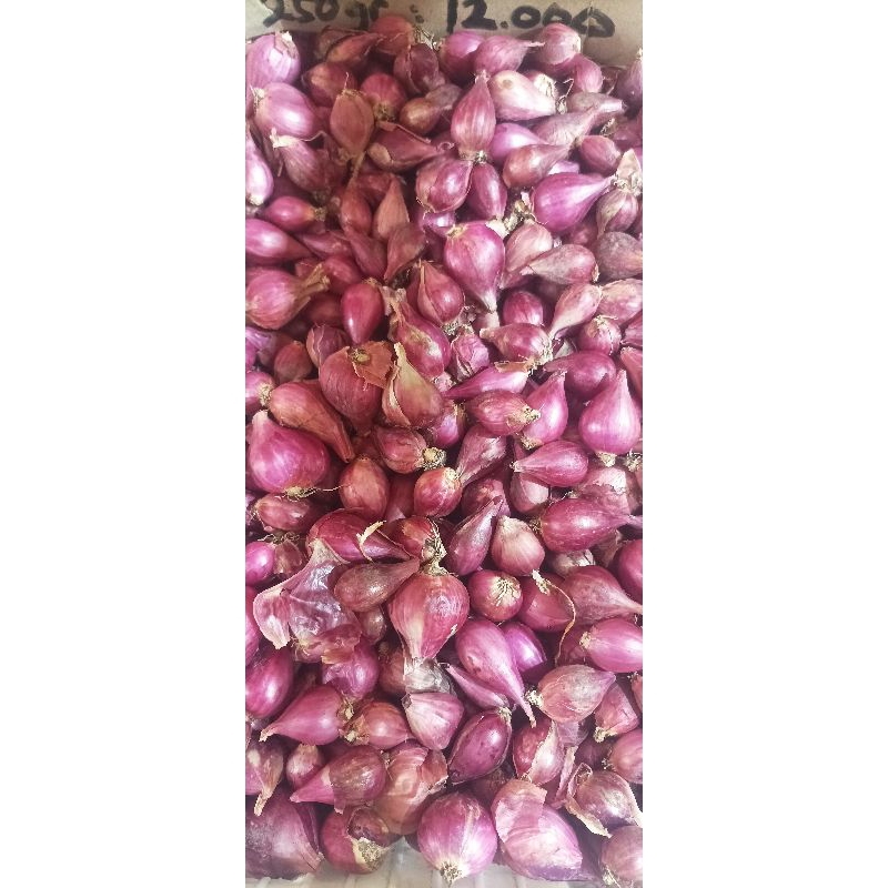 

Bawang Merah Brebes Super