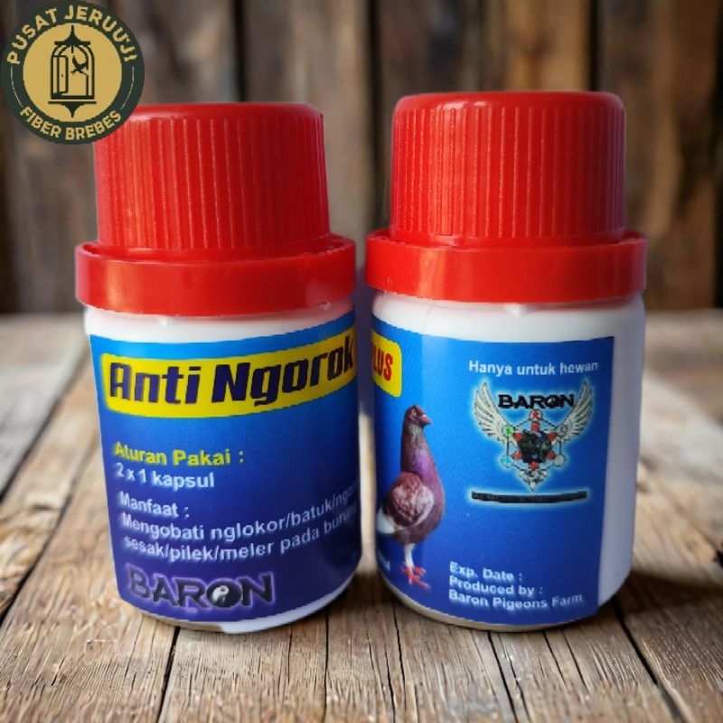 Baron anti ngorok mengobati merpati nglokor batuk pilek pada burung