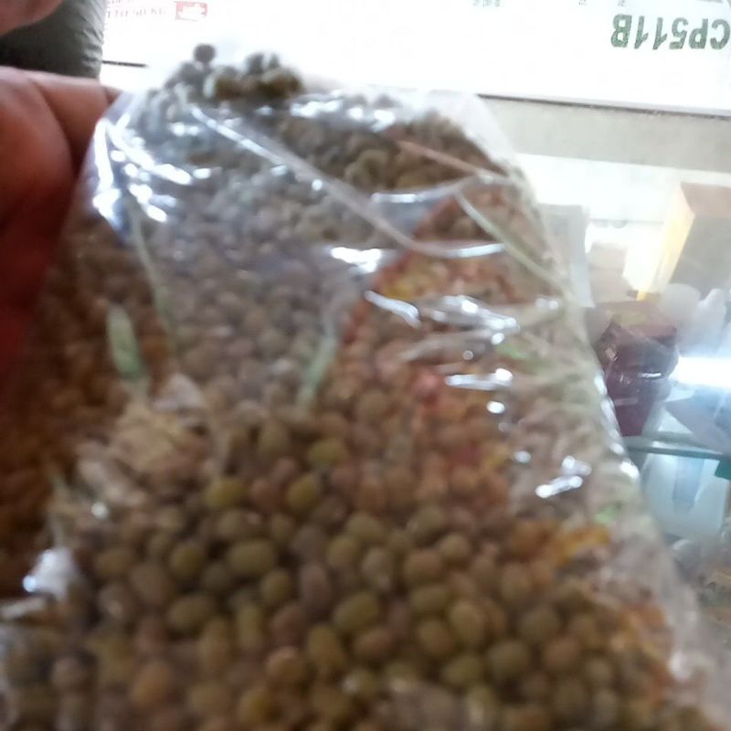 

kacang ijo