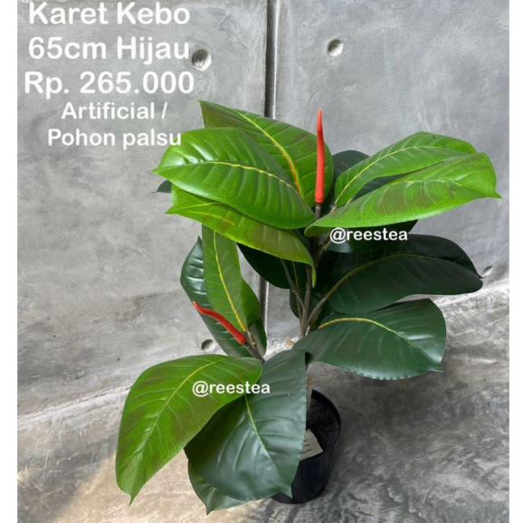 Pohon Hias Karet Kebo Tinggi 65 cm/ Pohon Hias Palsu/ Artificial Plant