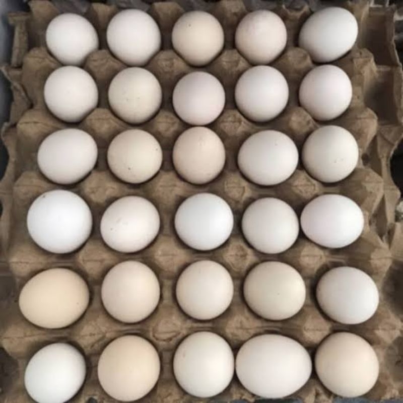 

Telur ayam Kampung 1 krat isi 30pc