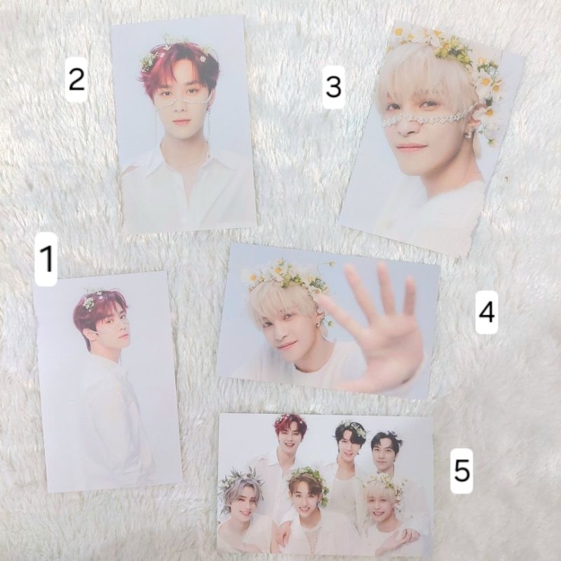 Official Merch MD Postcard WayV Kun Yangyang Grup Seasons Greetings 2023 SG 23 Original Murah