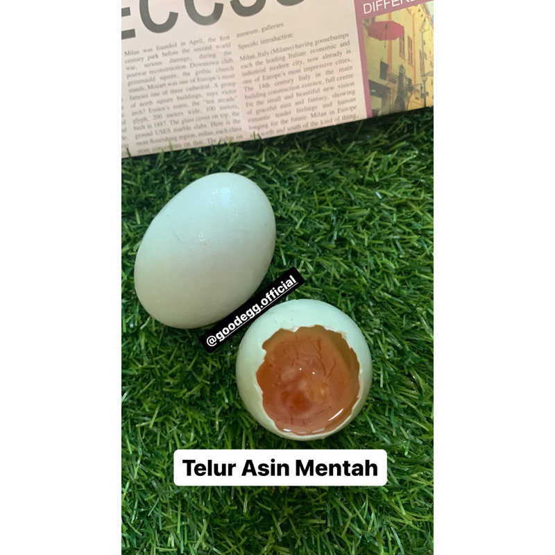 

[GoodEgg] Telur Asin Mentah Omega Masir [MASIR TGL 07 MARET]- per butir