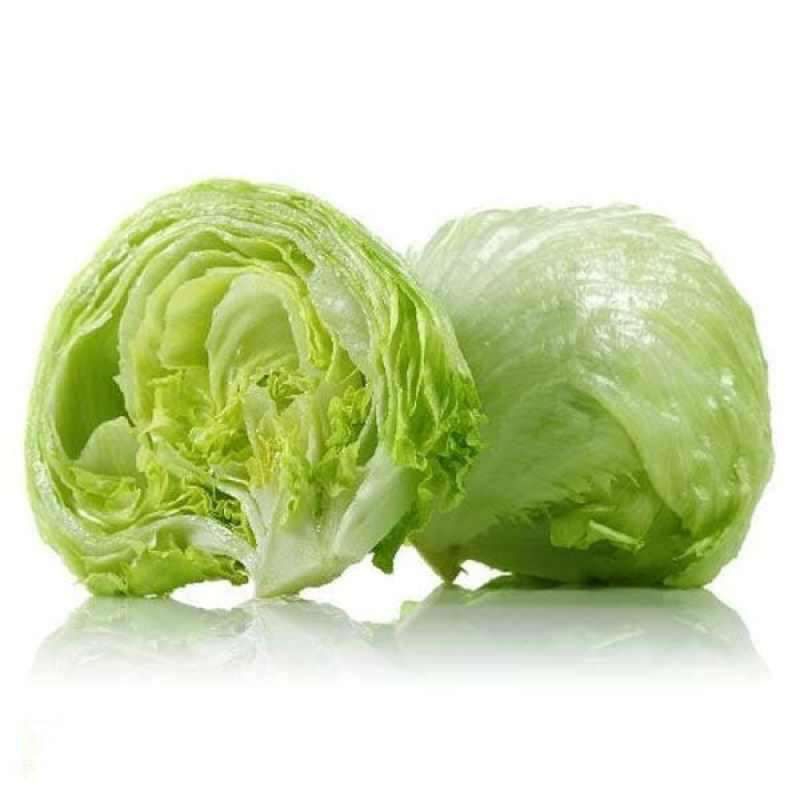 

lettuce segar selada lettuce head 1 kg murah