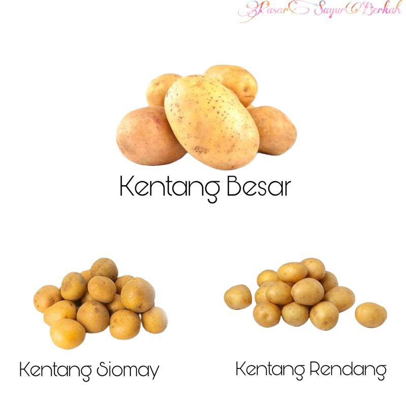 

Kentang @500gram