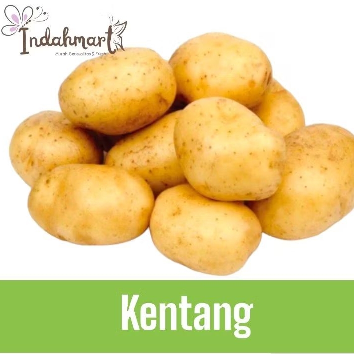 

Kentang 1 kg Murah