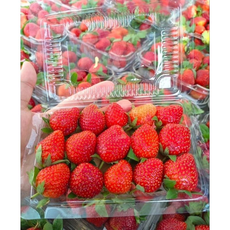 

strowberry tawangmangu