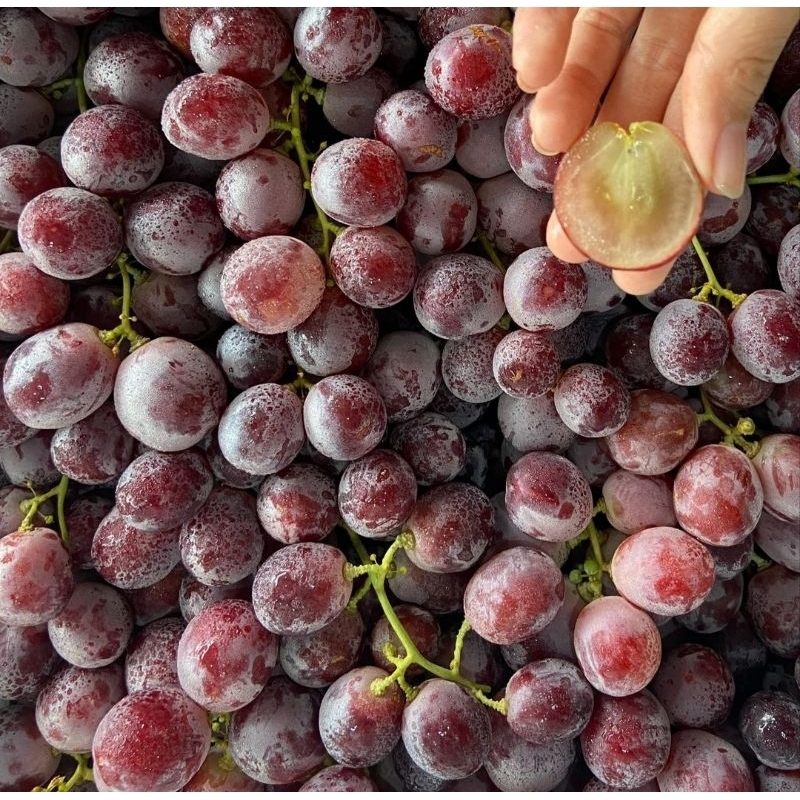 

ANGGUR AUSTRALIA 250 GR