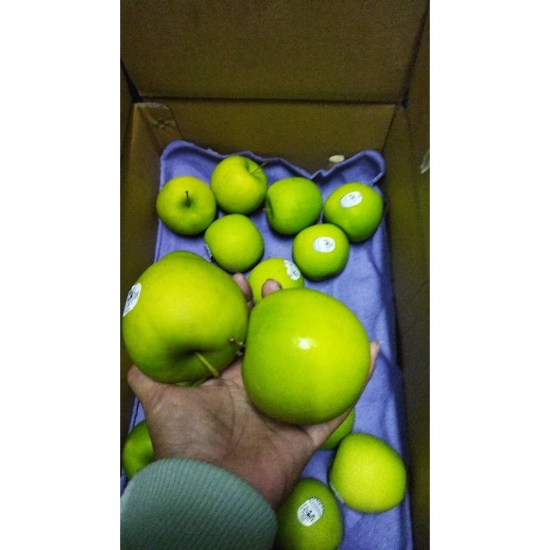 

apel granny smith NZ Mr apple AG/ kg