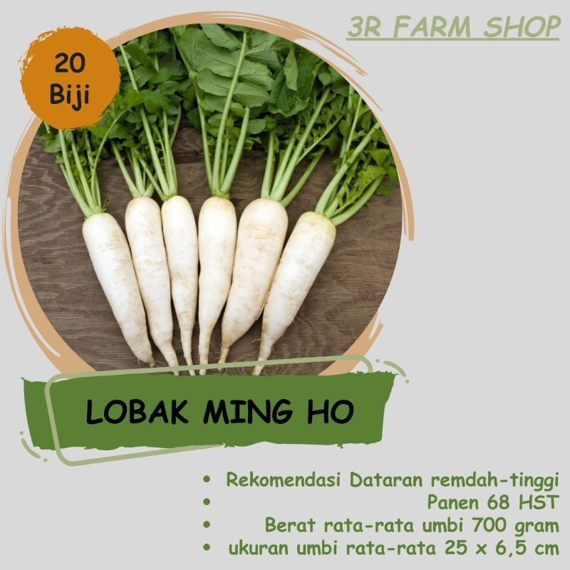 Benih Lobak Putih MING HO repack 20 Biji