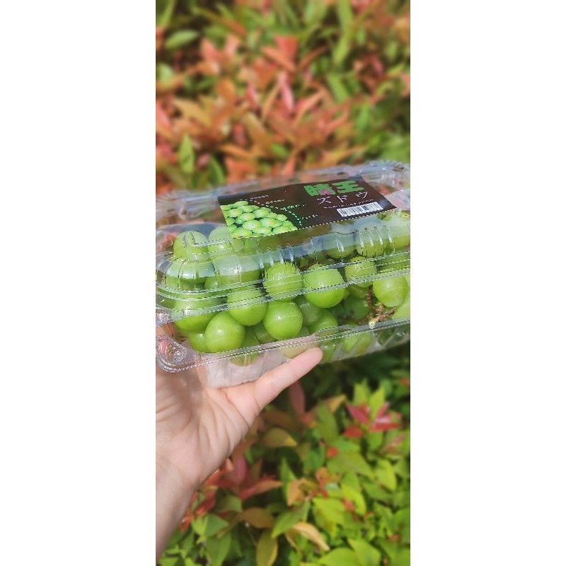 

Anggur Hijau muscad seedless tanpa biji 500gr