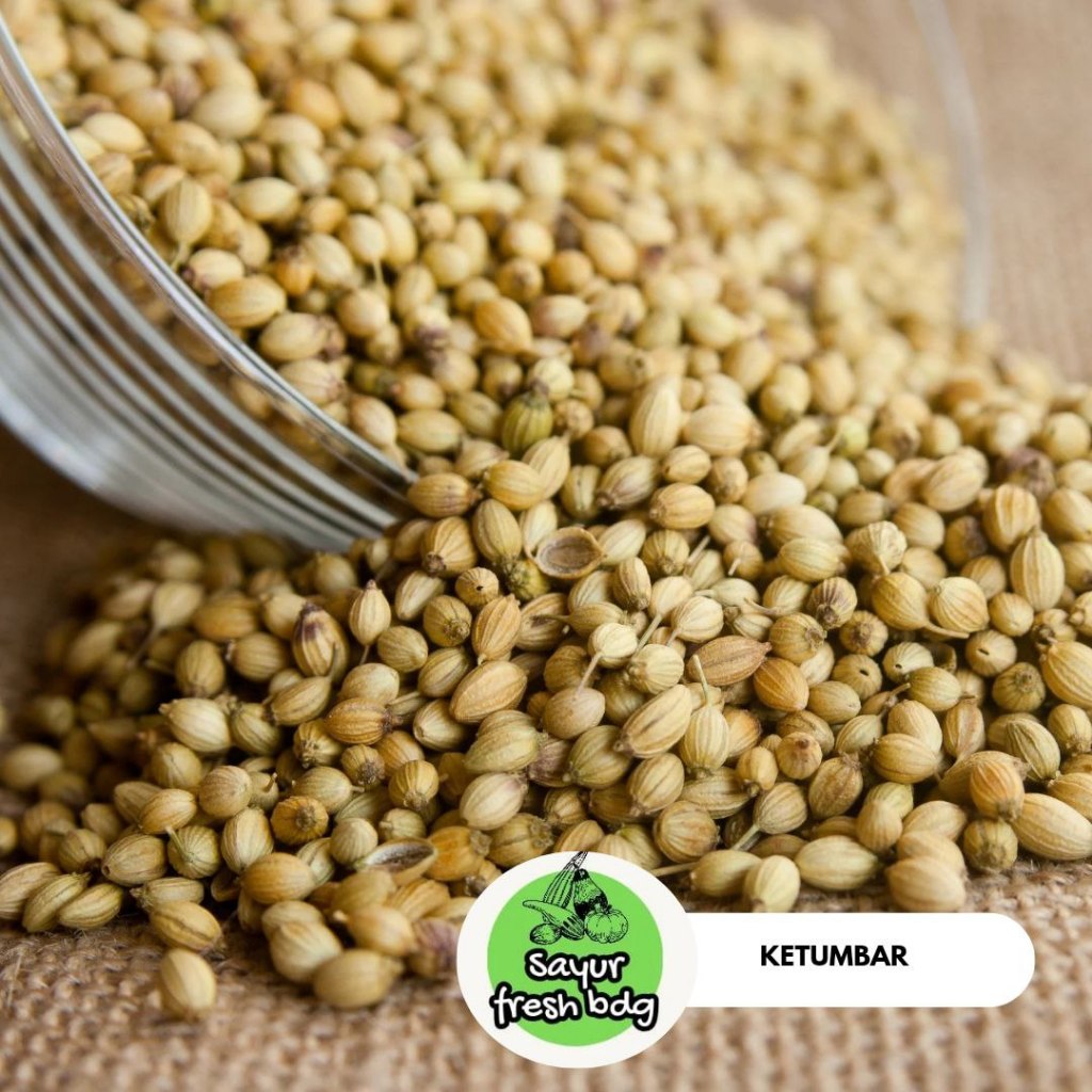 

Ketumbar biji per100gr / rempah rempah / bumbu dapur/ pelengkap masakan