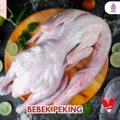 

Daging Bebek Peking 2.3 Kg PAKAI KEPALA Fresh Frozen sudah beraih tanpa jeroan