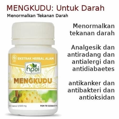 MENGKUDU 100% Garansi Asli Produk HNI HPAI
