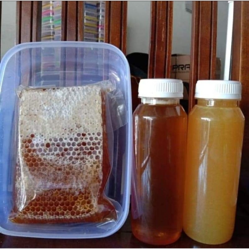 

madu sarang