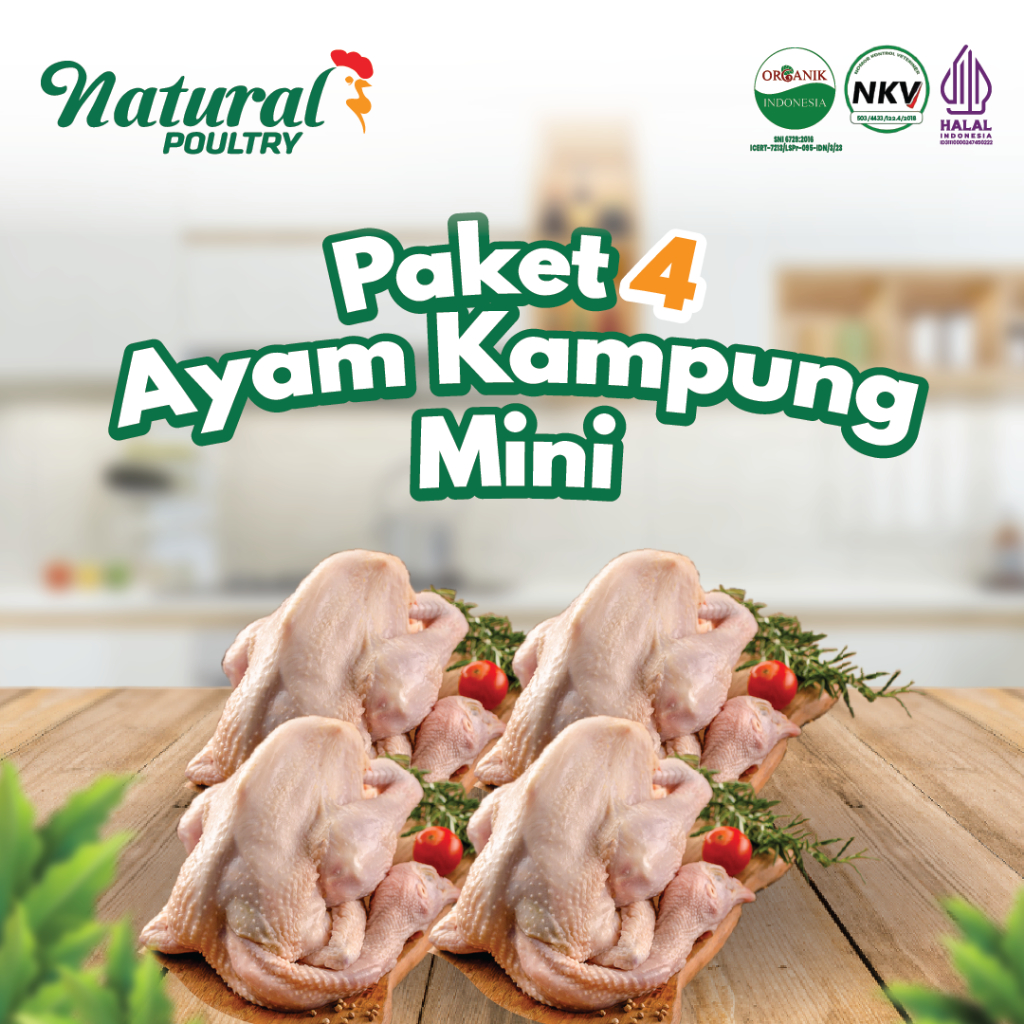 

Paket 4 Ayam Kampung Mini (600-700 gram) - Natural Poultry