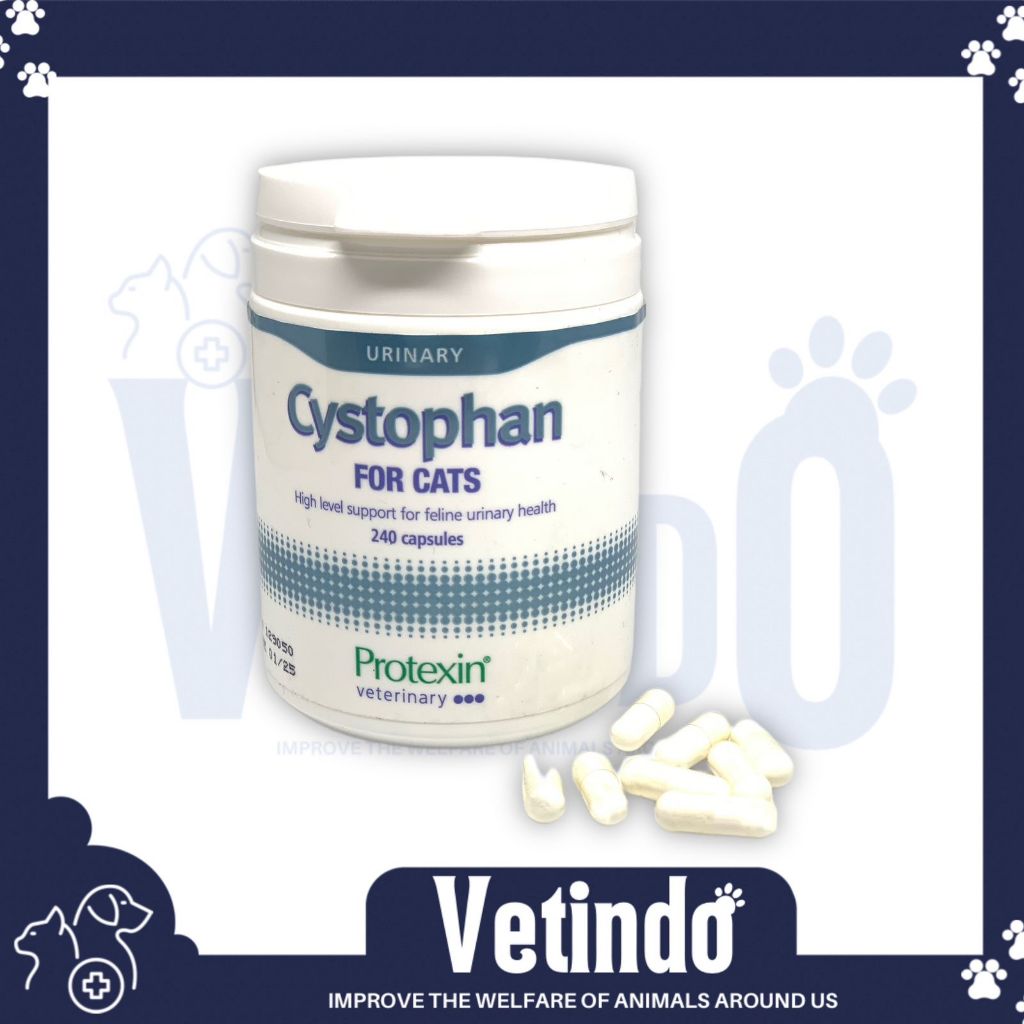 cystophan Obat urinary saluran kencing Kucing mirip Cystaid