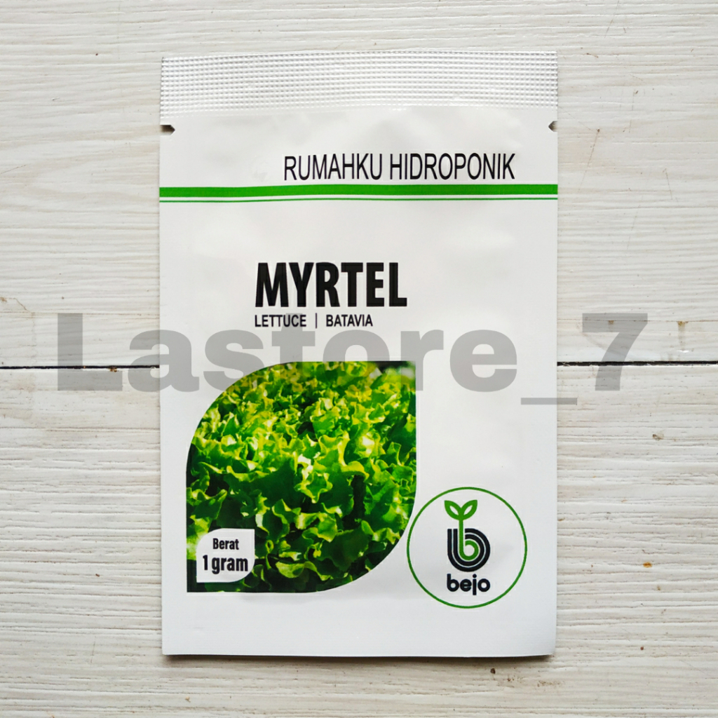 Benih Selada MYRTEL Isi 1 gram Lettuce Batavia Bejo Seed