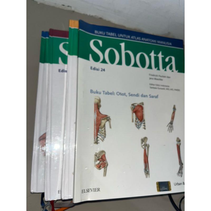 

SOBOTTA