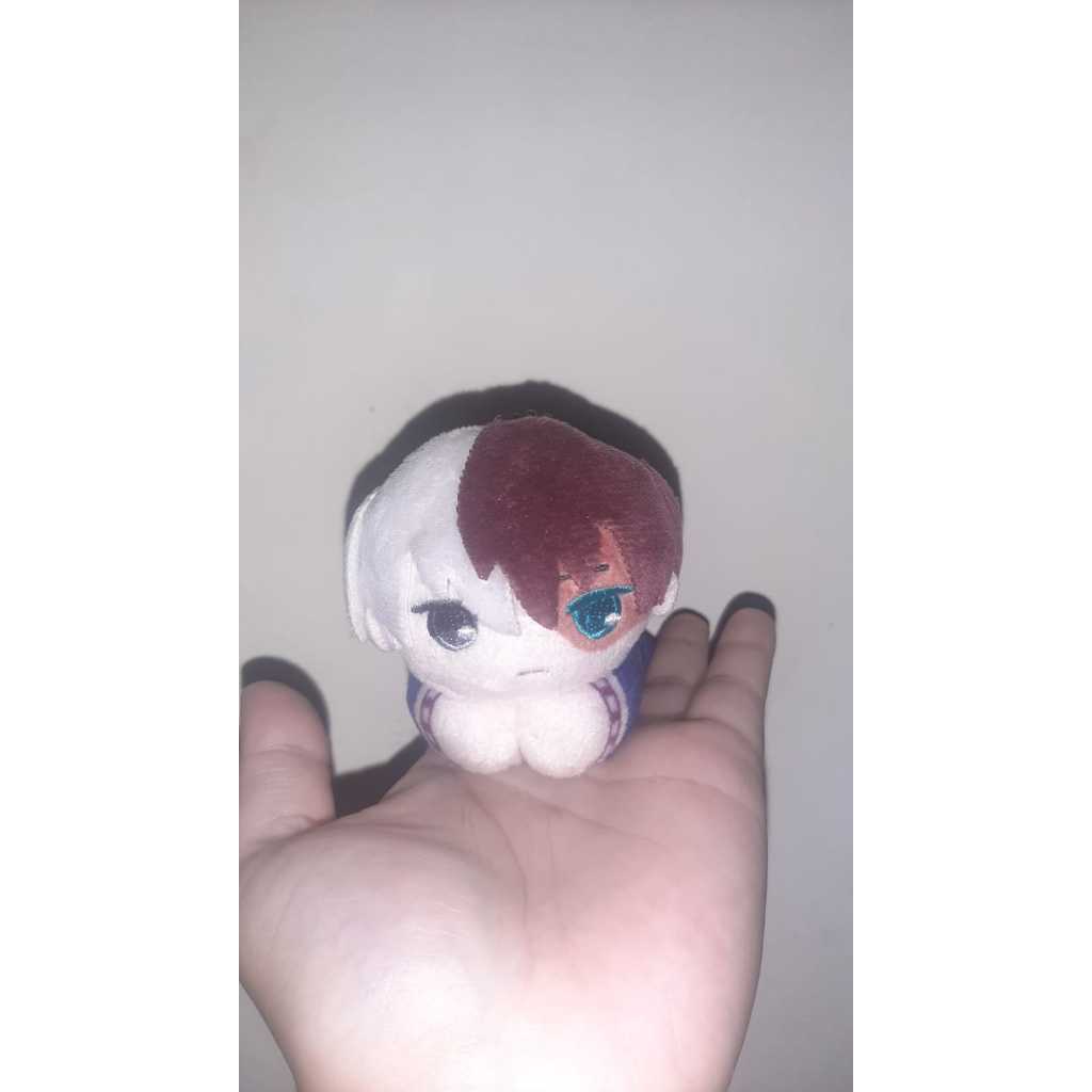 [BNHA] Capit Shoto Todoroki