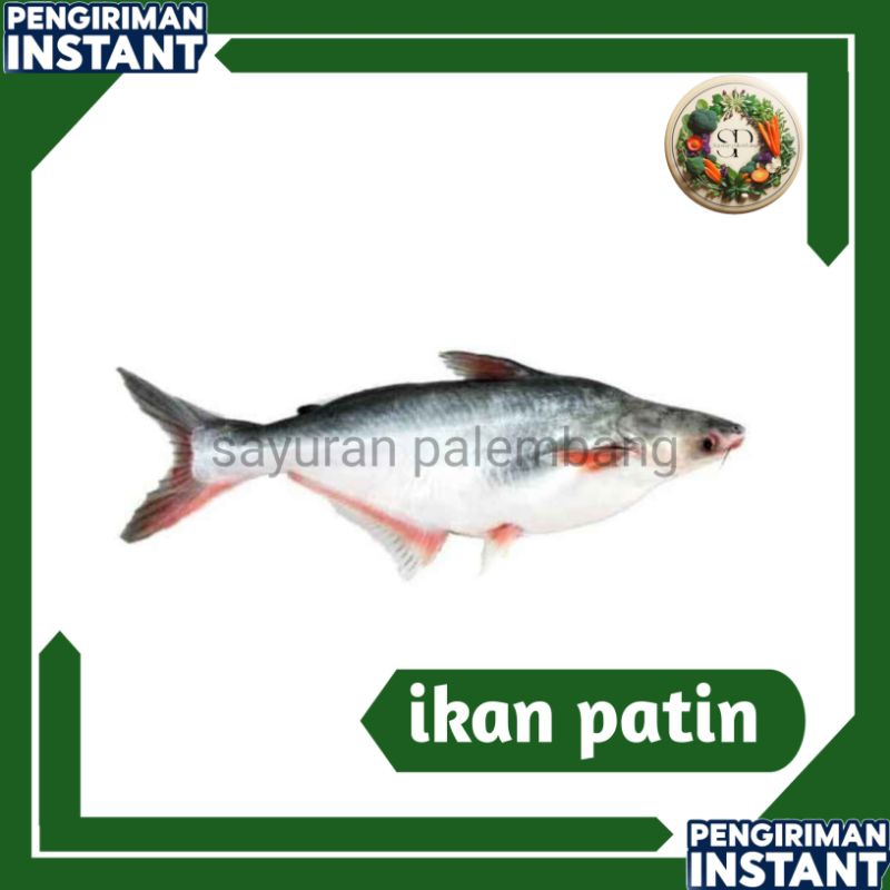 

ikan patin - sayuran palembang