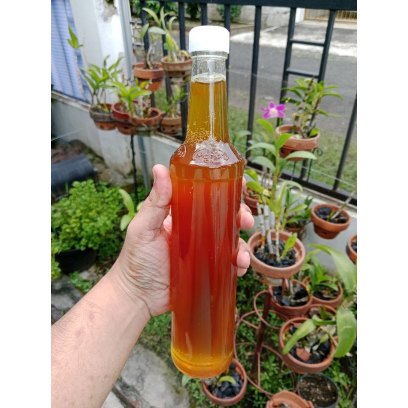 

Madu Murni Asli