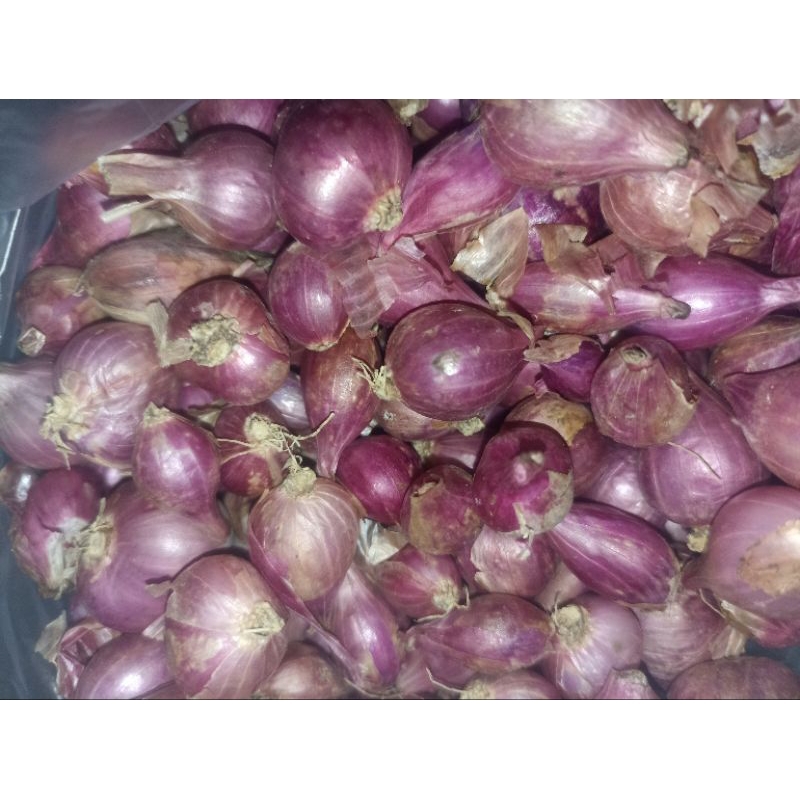 

BAWANG MERAH LOKAL BESAR