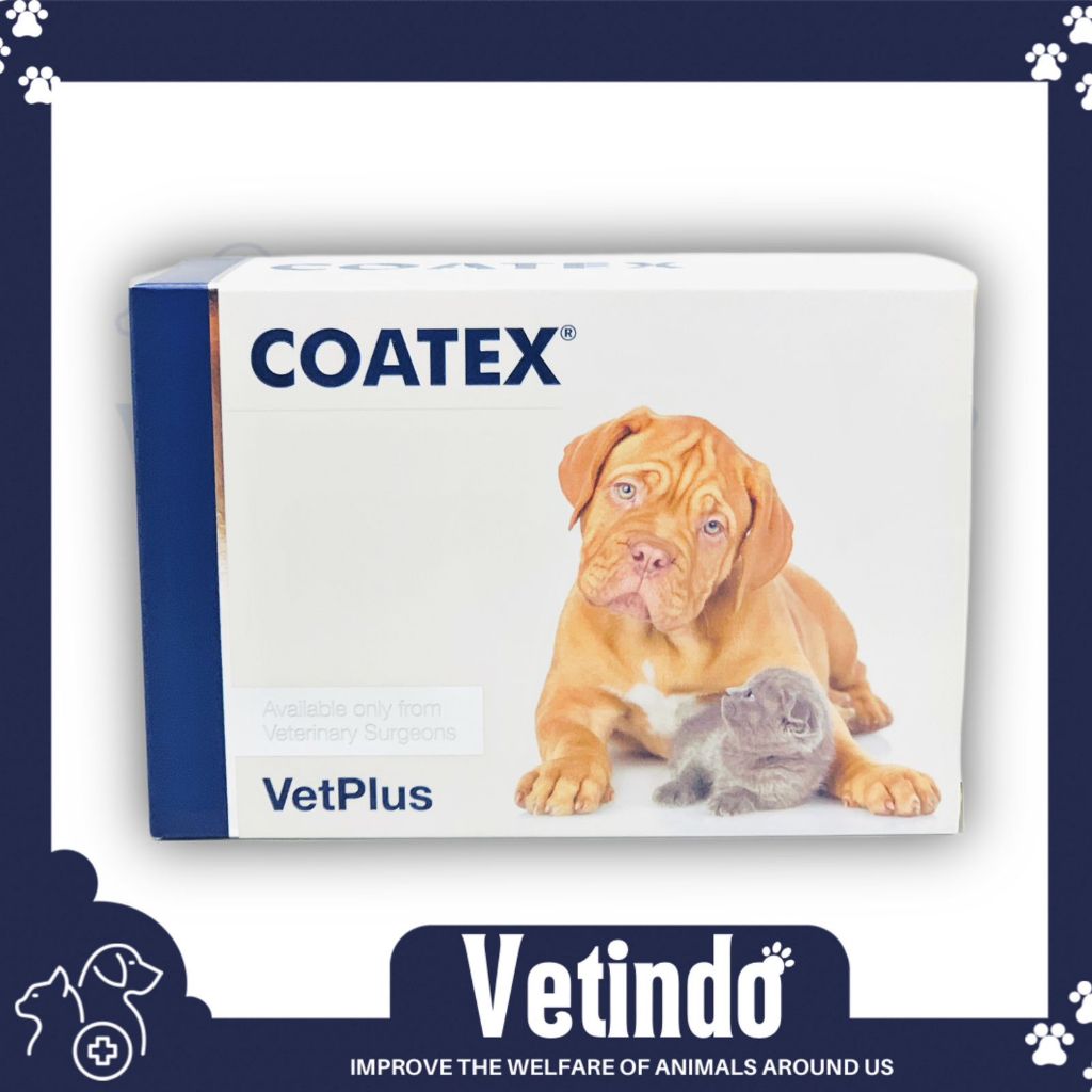 VetPlus coatex Vetplus Anjing & Kucing harga PER STRIP